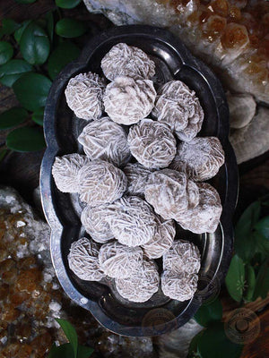Desert Rose Selenite
