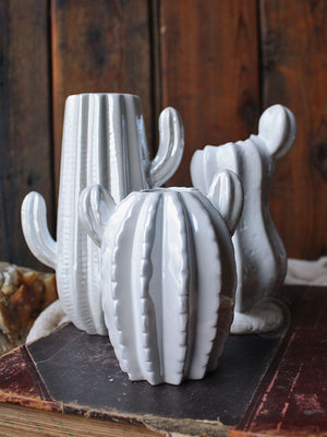 Desert Snow Cactus Vases