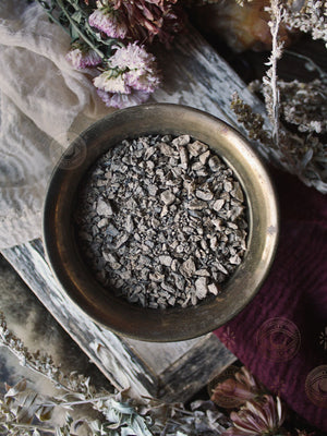 Ritual Herbs - Devil's Claw Root