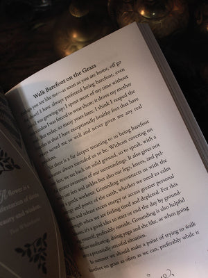 Enchanted Herbal - Connect to Nature and Celebrate the Seasons