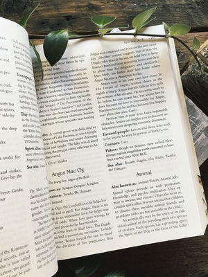 Encyclopedia of Spirits