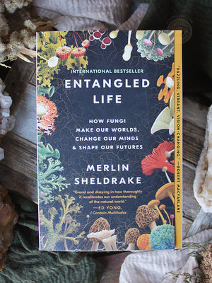 Entangled Life - How Fungi Make Our Worlds, Change Our Minds & Shape Our Futures