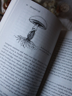 Entangled Life - How Fungi Make Our Worlds, Change Our Minds & Shape Our Futures