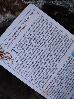 Evolution Is Wrong - A Radical Approach to the Origin and Transformation of Life