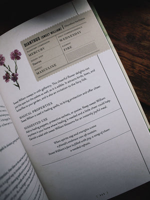 Herbal Magic - A Handbook of Natural Spells, Charms, and Potions