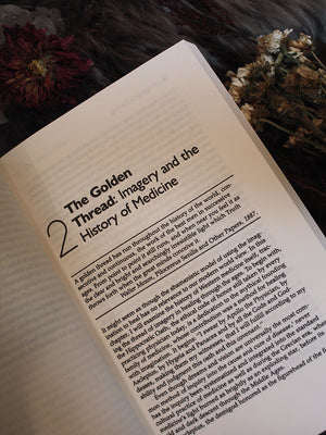 Imagery in Healing - Shamanism and Modern Medicine