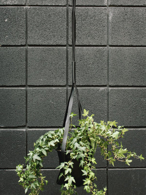 Large Plant Bebe Vegan Leather Plant Hangers