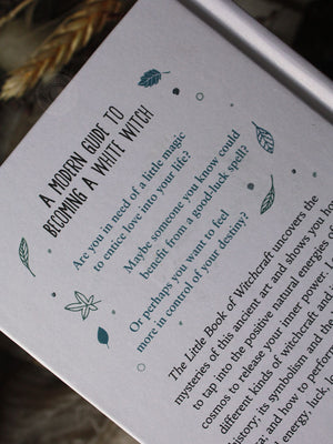 Little Book of Witchcraft