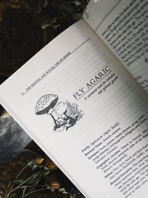 Magical and Ritual Use of Herbs