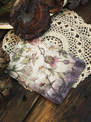 Magickal Herb Oracle