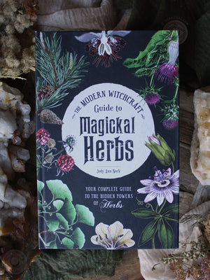 Modern Witchcraft Guide to Magickal Herbs