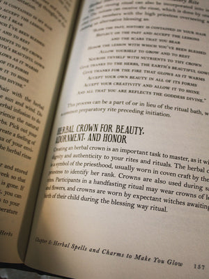 Modern Witchcraft Guide to Magickal Herbs