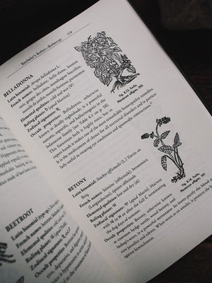 Occult Botany - Sédir’s Concise Guide to Magical Plants