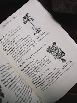 Occult Botany - Sédir’s Concise Guide to Magical Plants