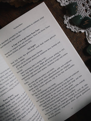 Pagan Portals - Runes