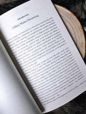 Pagan Portals - Western Animism