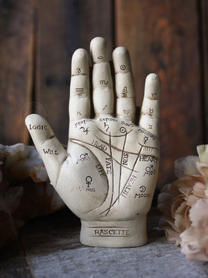 Palmistry Hand with Guidebook