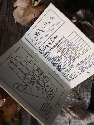 Palmistry Hand with Guidebook