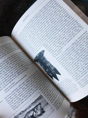 Pharmako Dynamis - Stimulating Plants, Potions, and Herbcraft