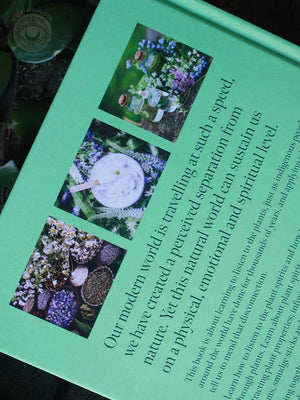 Plant Spirit Medicine - A Guide to Making Healing Products from Nature