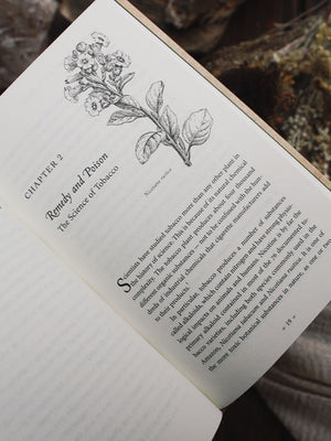 Plant Teachers - Ayahuasca, Tobacco, and the Pursuit of Knowledge