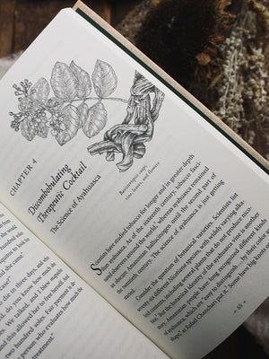 Plant Teachers - Ayahuasca, Tobacco, and the Pursuit of Knowledge