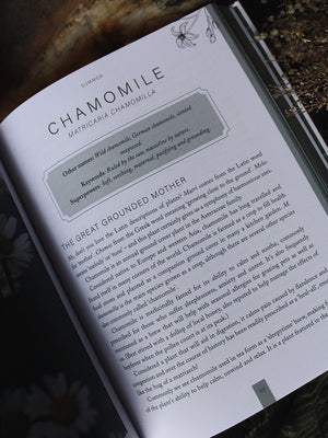 Plants of Power - Cultivate Your Garden Apothecary