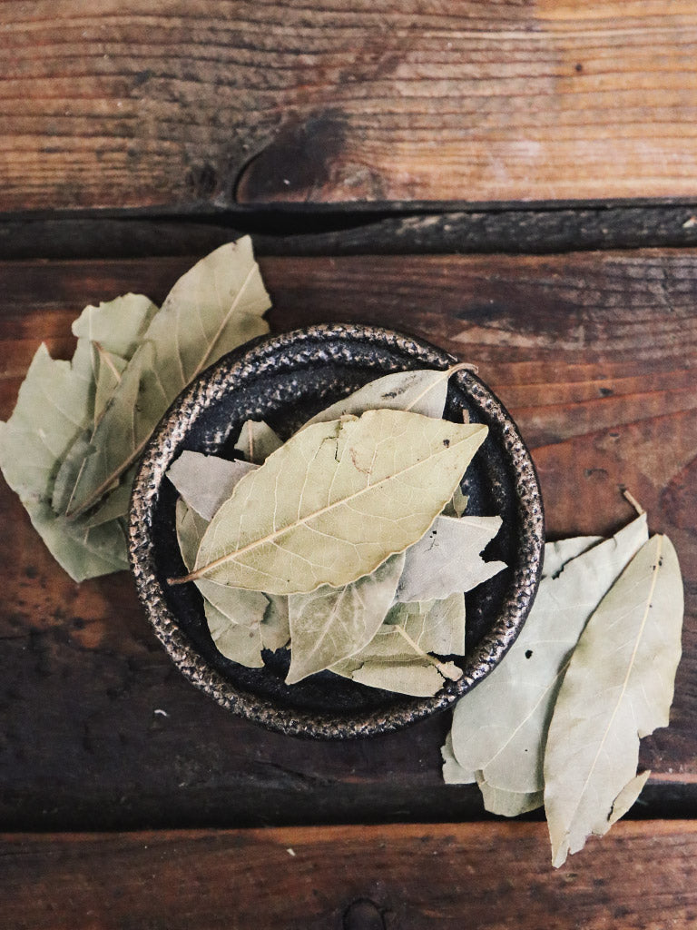 Bay Leaves - Rite of Ritual