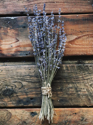 Dry Lavender Bouquets