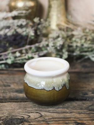 Gorgeous Glazed Succulent Planters 3