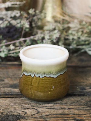 Gorgeous Glazed Succulent Planters 7