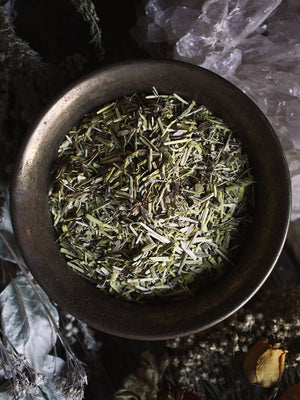 Ritual Herbs - Barberry Root Bark