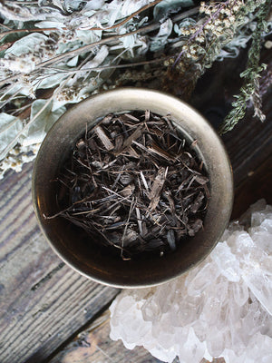 Ritual Herbs - Black Walnut Bark