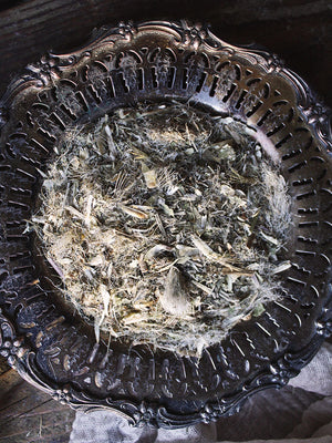 Ritual Herbs - Blessed Thistle