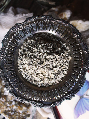 Ritual Herbs - Burdock Root