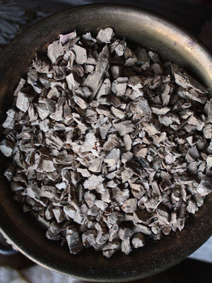 Ritual Herbs - Calamus Root