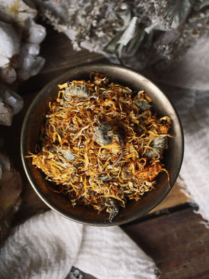 Ritual Herbs - Calendula