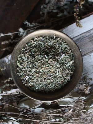 Ritual Herbs - Catnip