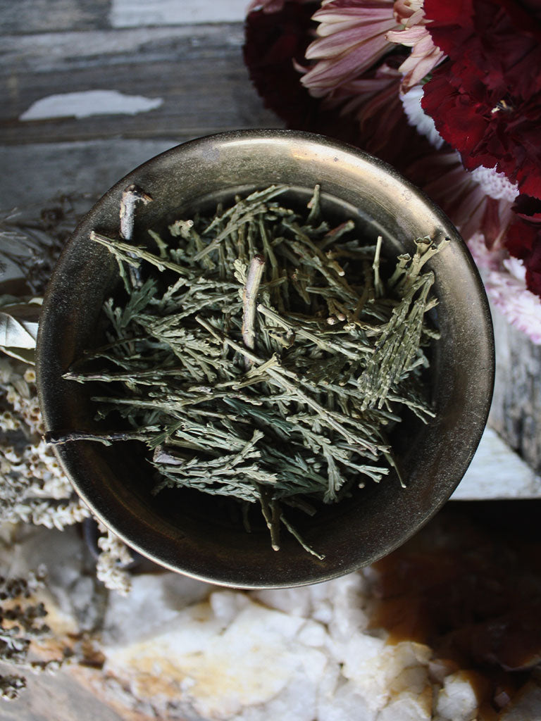 Ritual Herbs - Cedar