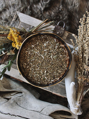 Ritual Herbs - Feverfew