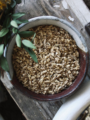 Ritual Herbs - Ginger Root