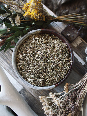 Ritual Herbs - Gotu Kola