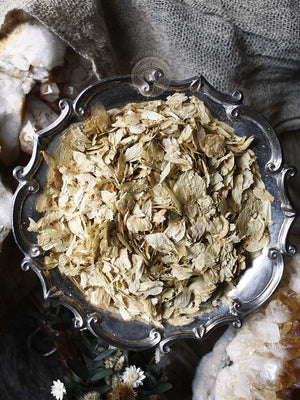 Ritual Herbs - Hops Flower Petals