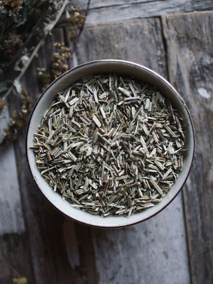 Ritual Herbs - Hyssop