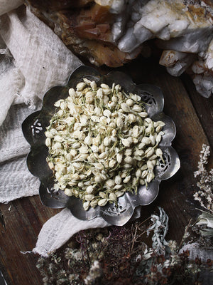 Ritual Herbs - Jasmine Flowers