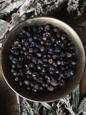 Ritual Herbs - Juniper Berries