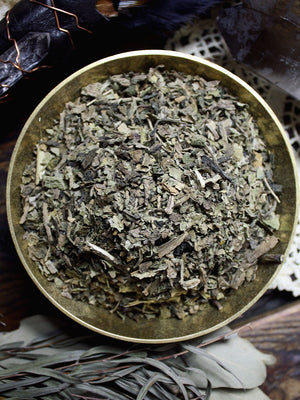 Ritual Herbs - Lobelia