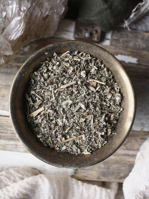 Ritual Herbs - Pennyroyal