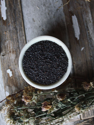 Ritual Herbs - Poppy Seeds