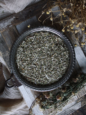 Ritual Herbs - Skullcap